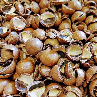 20 ltr Macadamiadoppen