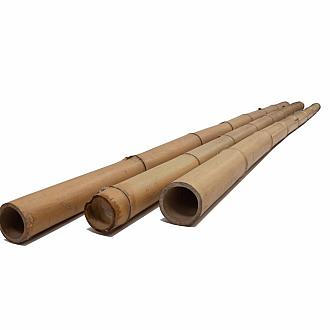 Bamboepaal 10-12 cm x 300 cm