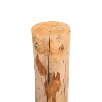 Kastanjeh. Paal DIK 300cm 8-10cm