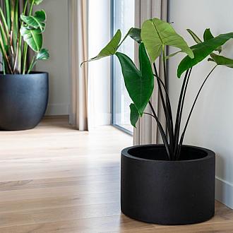 Grigio Cylinder 48 - Anthracite - Plantruimte Ø40
