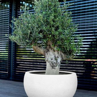 Grigio Elena 120 - Antique White - Plantruimte Ø95