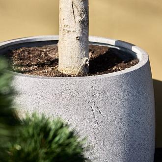 Grigio Modern Pot 34 - Natural Concrete - Plantruimte Ø24.5
