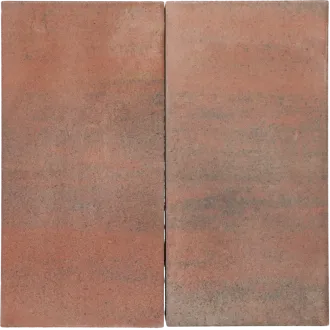 Tremico Oud Bont 30x60x6cm