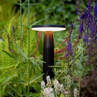 In-Lite DISC