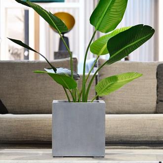 Argento Cube 40 - Natural Grey - Plantruimte 33x33