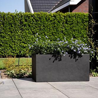 Grigio Box 80 - Anthracite - Plantruimte 73x23
