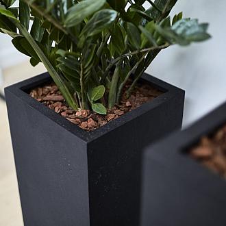 Grigio High Cube 80 - Anthracite - Plantruimte 24x24