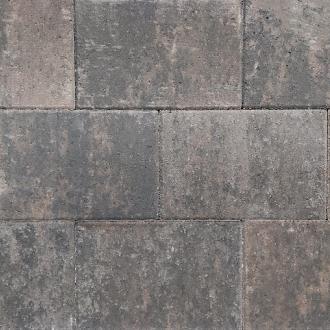 Paepesteen Doyenne 20x30x6 cm