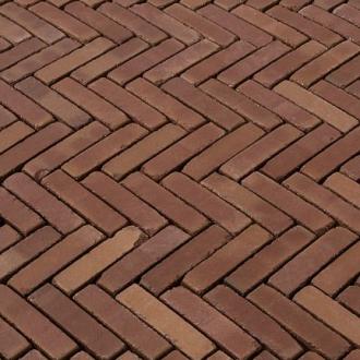 DF60 Rosas Classica ROOD GENUANCEERD