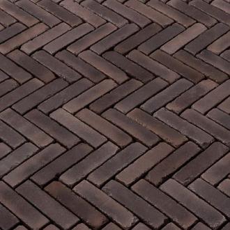 WF60 Indicus Classica ZWART-BRUIN