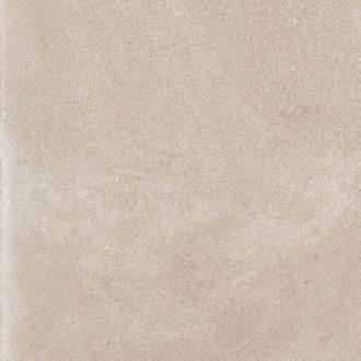 Dijon 60x60x2 Coquille DJ01