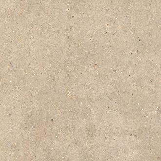 Elysian 80x80x2 Gold Catalan EY09