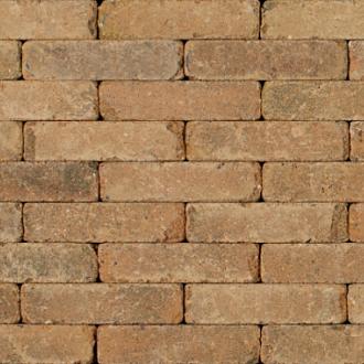 Tonique Rustiek waalformaat Kweepeer 20x5x7 cm