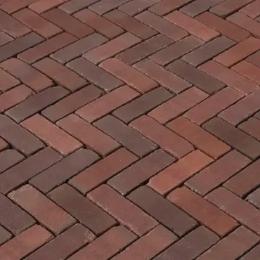 terra novara antica dikformaat