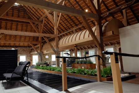 boerderij timmerman 2