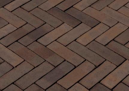 WF80 Lividus PAARS-BRUIN GENUANCEERD