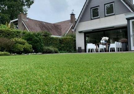 Royal Grass Wave 2m breed