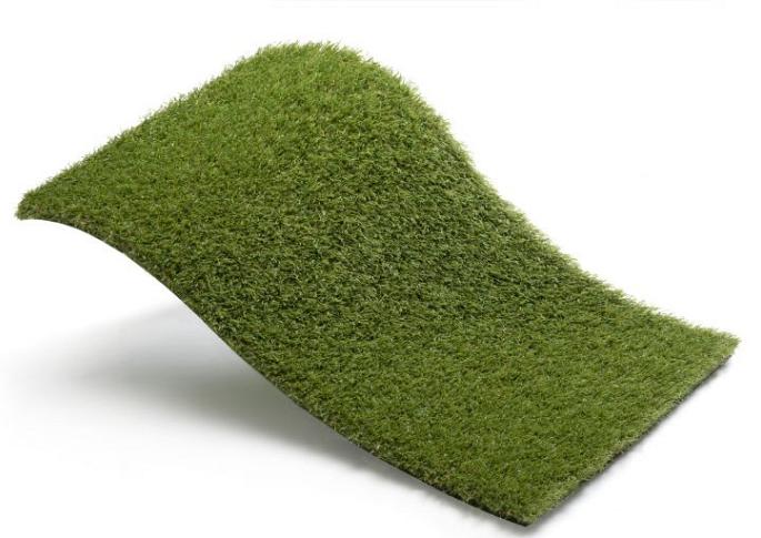 Royal Grass Aura  4m breed