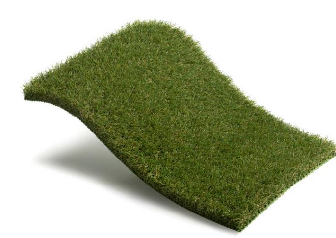 Royal Grass Bliss 4m breed