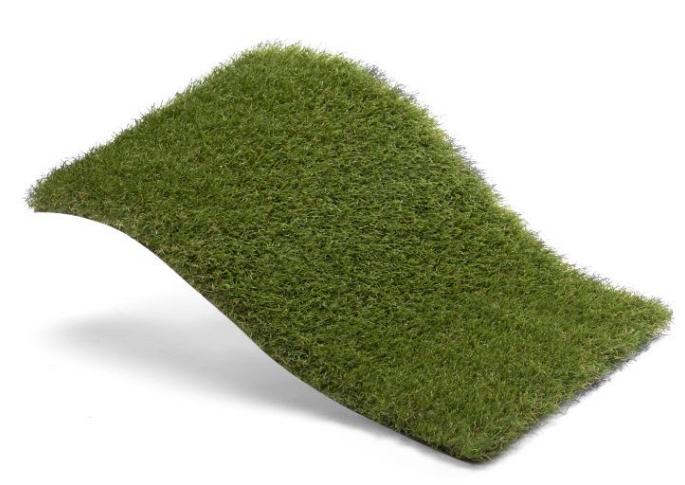 Royal Grass Bloom  4m breed
