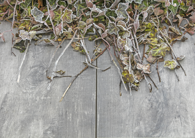 GeoCeramica 80x40x4 Timber Grigio