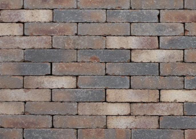 Clayville Gent WF 200x48x60 mm getrommeld (1040 stuks/pallet, 98 stuks/m2)