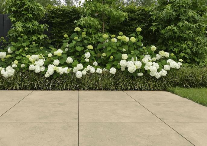 Cerasolid Pistoia 90x90x3 Honey Cross