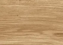 Ceramiton Palo 120x30x4cm Oak