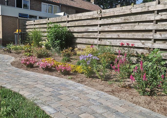 Tonique Rustiek betonstraatsteen Moonglow 6cm