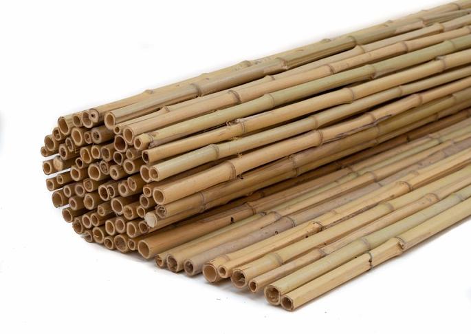 Bamboe rols. Dalian 150-180 cm