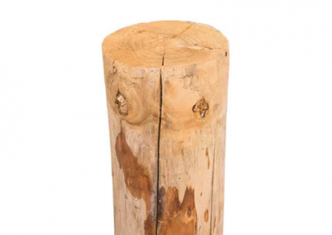 Kastanjeh. Paal DIK 250cm 10-12cm