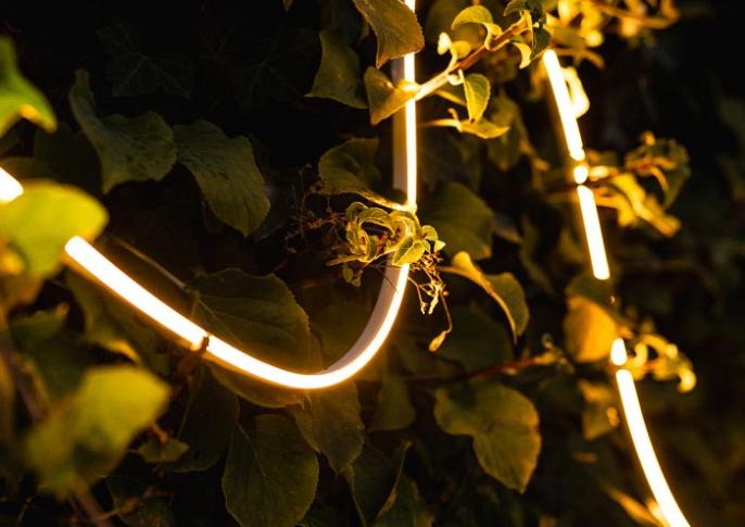 Serra 1m - strip | warmwit | 4 watt per meter | dimbaar | OutdoorPro+ | 12 volt
