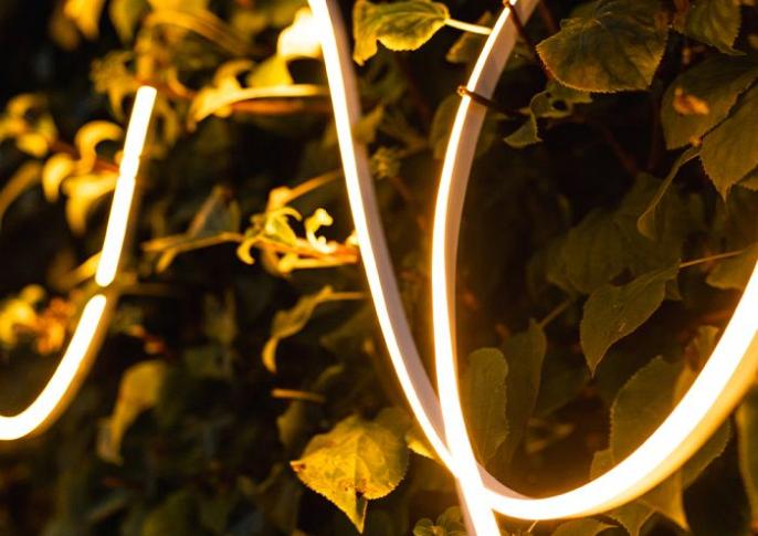 Serra 10 m - strip | warmwit | 4 watt per meter | dimbaar | OutdoorPro+ | 12 volt