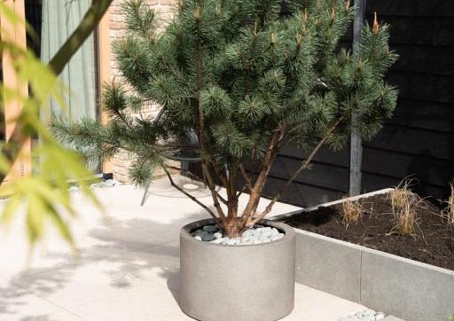 Grigio Cylinder 48 - Natural Concrete - Plantruimte Ø40