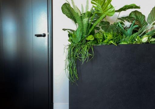 Grigio Divider 64 - Anthracite - Plantruimte 63x20