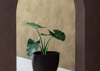 Ruvido Organic 67 - Ash Brown - Plantruimte Ø48
