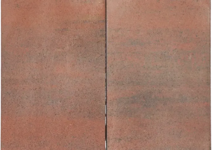Tremico Oud Bont 30x60x6cm