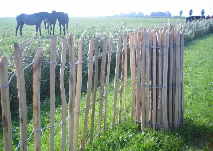 Kastanje Hek 5x90x460cm