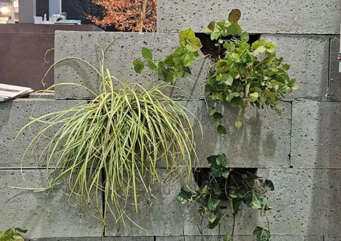 Schellevis Oudhollands Groenwand beplanting Grijs 100x20x20