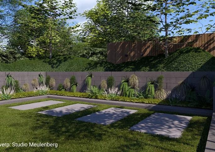 Schellevis Oudhollands Groenwand beplanting Grijs 100x20x20
