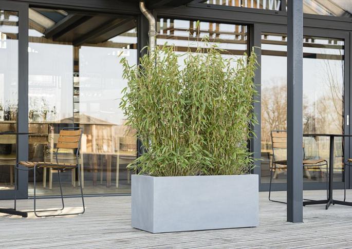 Argento Box 120 - Natural Grey - Plantruimte 111x41