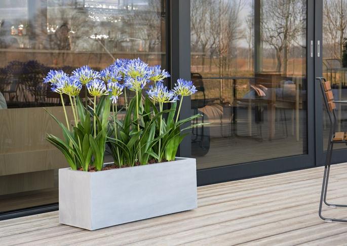 Argento Box 150 - Natural Grey - Plantruimte 139x39