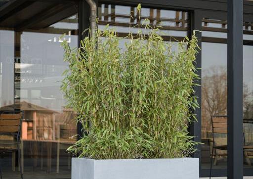 Argento Box 90 - Natural Grey - Plantruimte 83x33