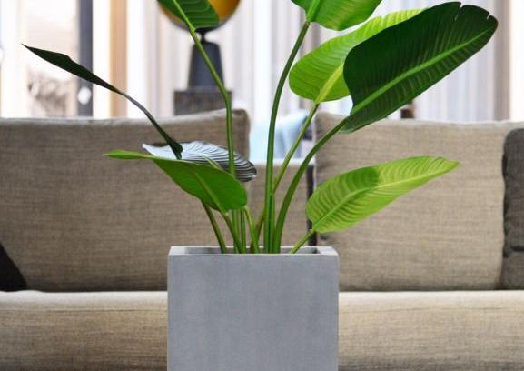 Argento Cube 40 - Natural Grey - Plantruimte 33x33