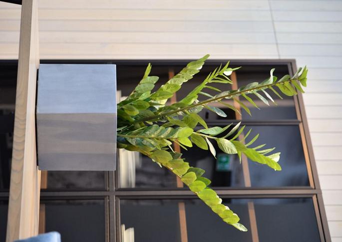 Argento Cube 50 - Natural Grey - Plantruimte 42x42