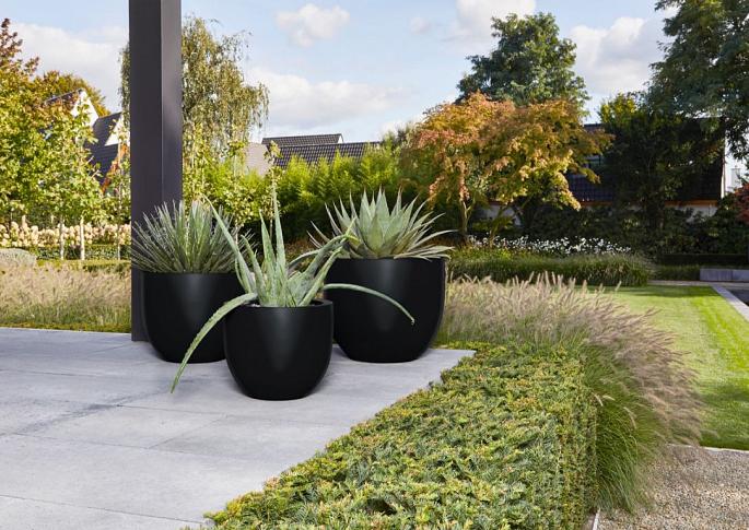Argento New Egg Pot 45 - Black - Plantruimte Ø37