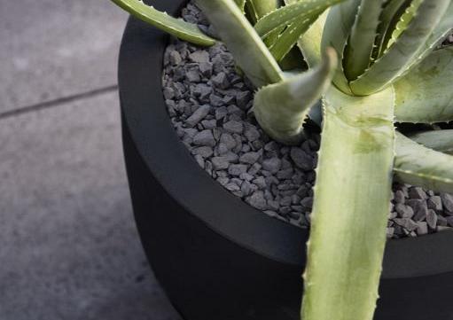 Argento New Egg Pot 55 - Black - Plantruimte Ø47