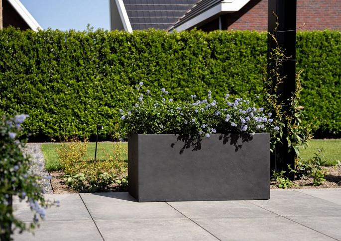 Grigio Box 60 - Anthracite - Plantruimte 54x14