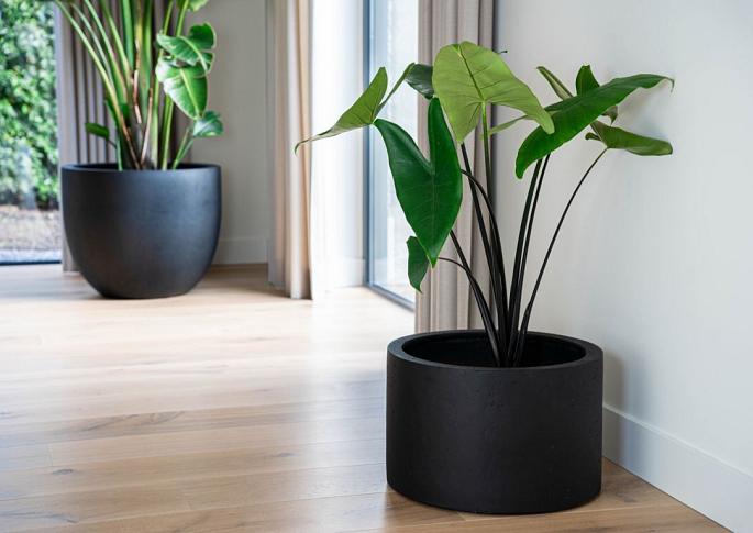 Grigio Cylinder 80 - Anthracite - Plantruimte Ø66