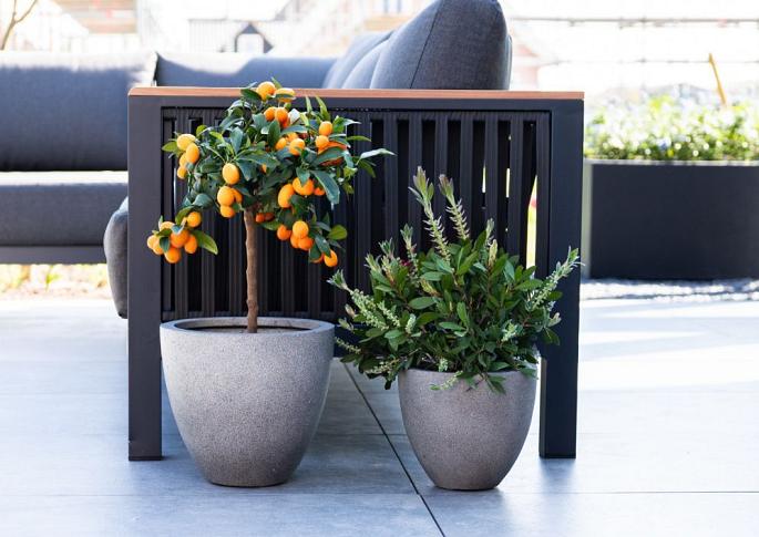 Grigio Egg Pot 32 - Natural Concrete - Plantruimte Ø28
